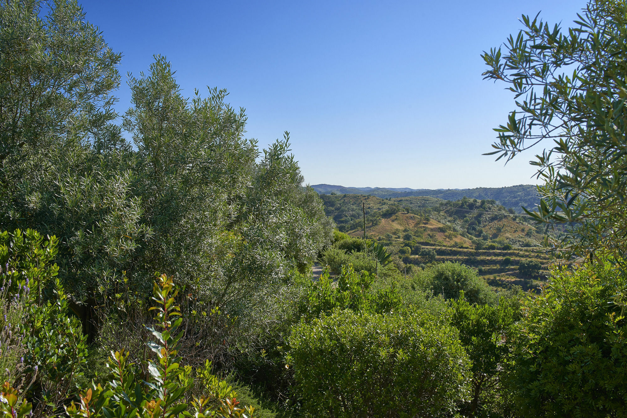 Hotel Rural Quinta do Marco - Nature&Dining Tavira Esterno foto